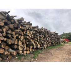 Дрова гуртом береза осика тополя метрові дрова гуртом метрові Святопетрівське