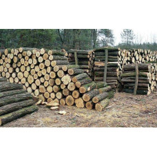 Дрова дуб ясен граб береза сосна. Колоті, чурбани, кругляк метровий Березань
