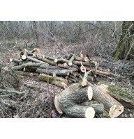 Дрова від одного складометра з доставкою Макарів