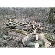Дрова від одного складометра з доставкою Макарів