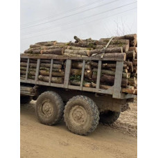 Дрова опт, роздріб береза, дуб, вільха без повітря Плесецьке