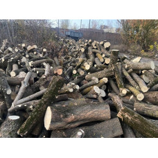 Продам дрова оптом Дмитрівка