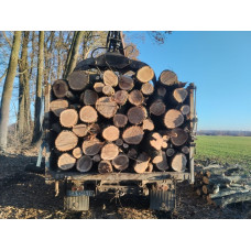Продам дрова твердих порід опт / розница Великі Дмитровичі