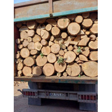 Продаж дубових дров | В наявності Пуща-Водиця