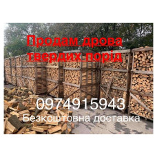 Продам рубані та метрові дрова. Дуб, ясень, акація Ходосівка