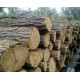 Дрова метрові та рубані Гнідин