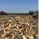 Дрова ОПТОМ та в роздріб. Тверді породи Плесецьке