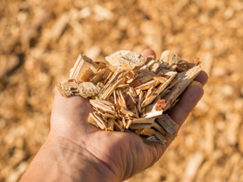 Що таке деревна щепа і де вона використовується