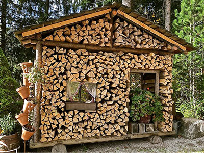 Як правильно зберігати дрова